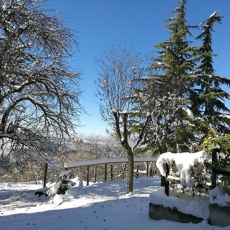 Le Rose Di Mapi Villa Mango Kültér fotó
