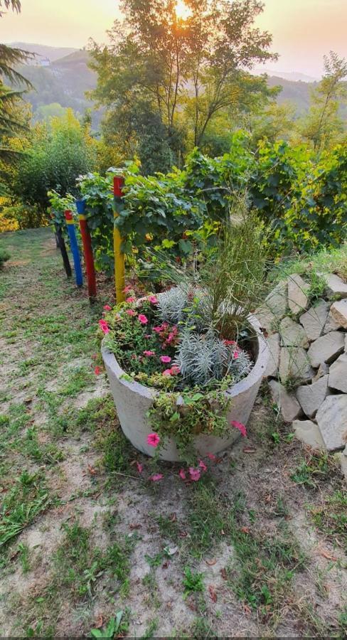 Le Rose Di Mapi Villa Mango Kültér fotó
