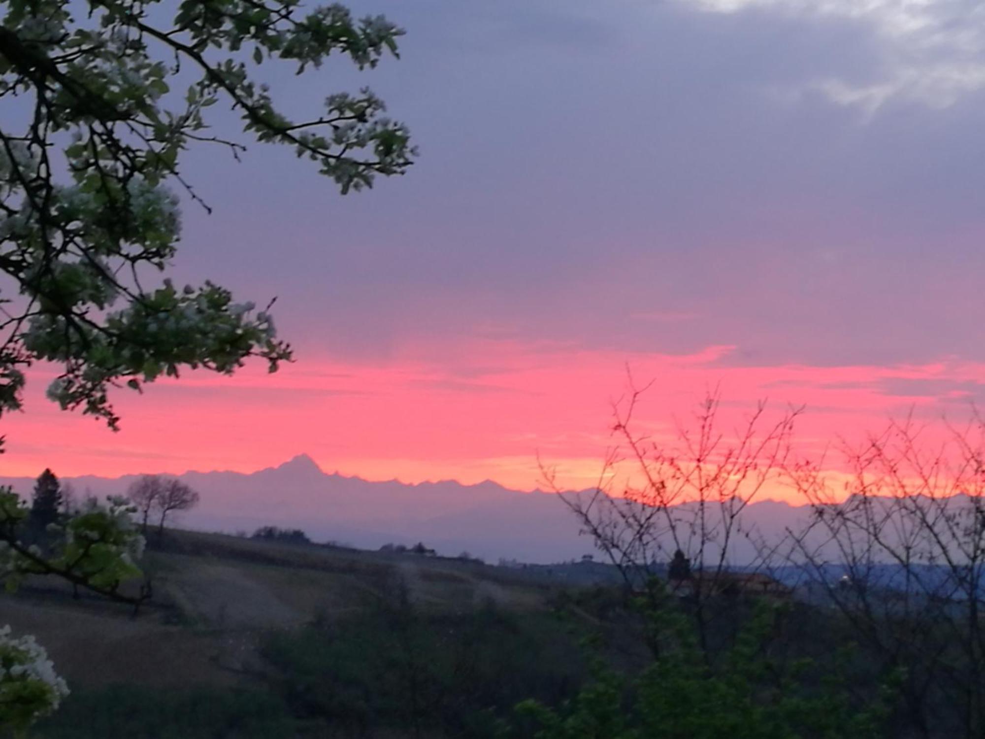 Le Rose Di Mapi Villa Mango Kültér fotó