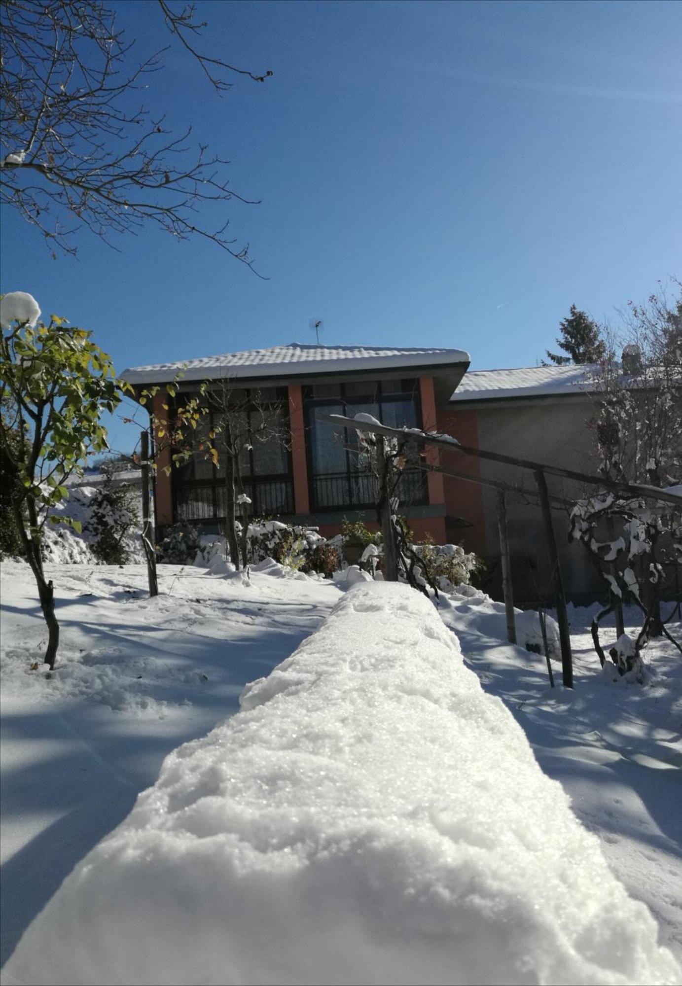 Le Rose Di Mapi Villa Mango Kültér fotó