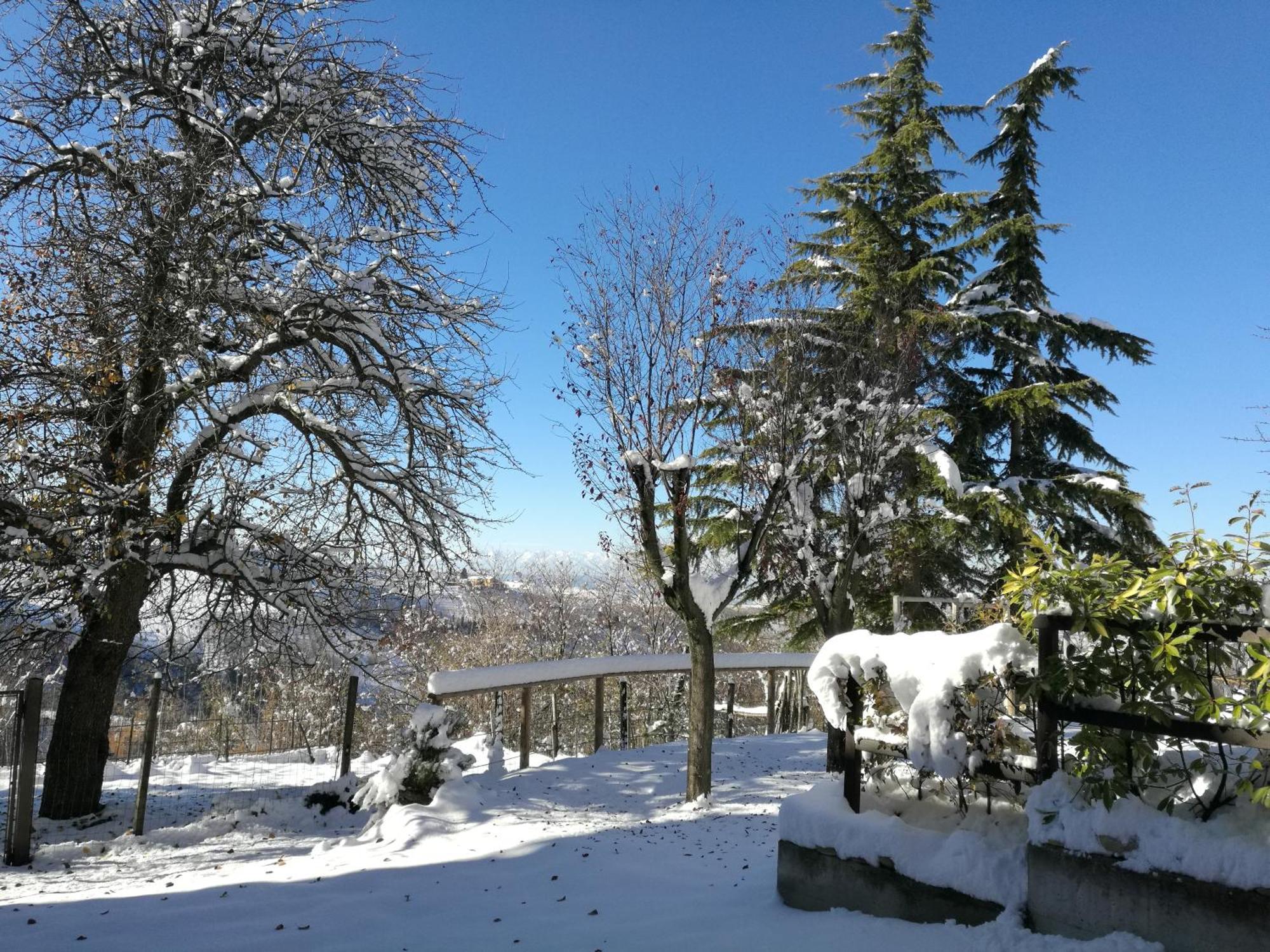 Le Rose Di Mapi Villa Mango Kültér fotó