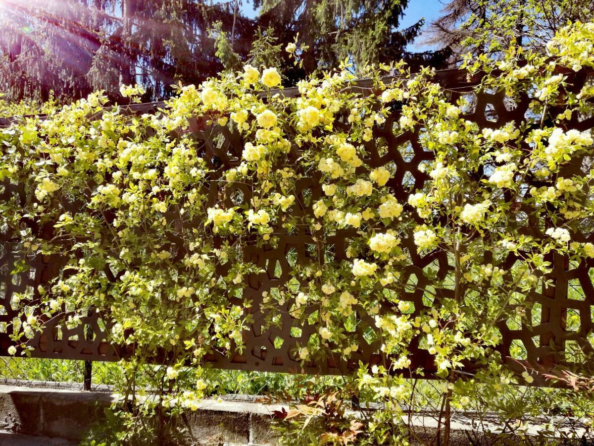 Le Rose Di Mapi Villa Mango Kültér fotó