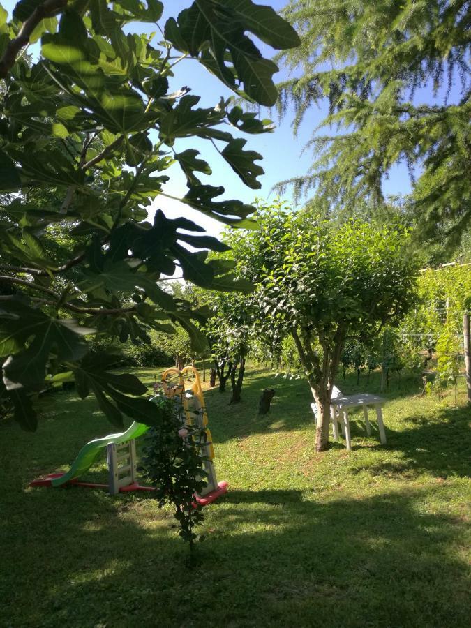 Le Rose Di Mapi Villa Mango Kültér fotó